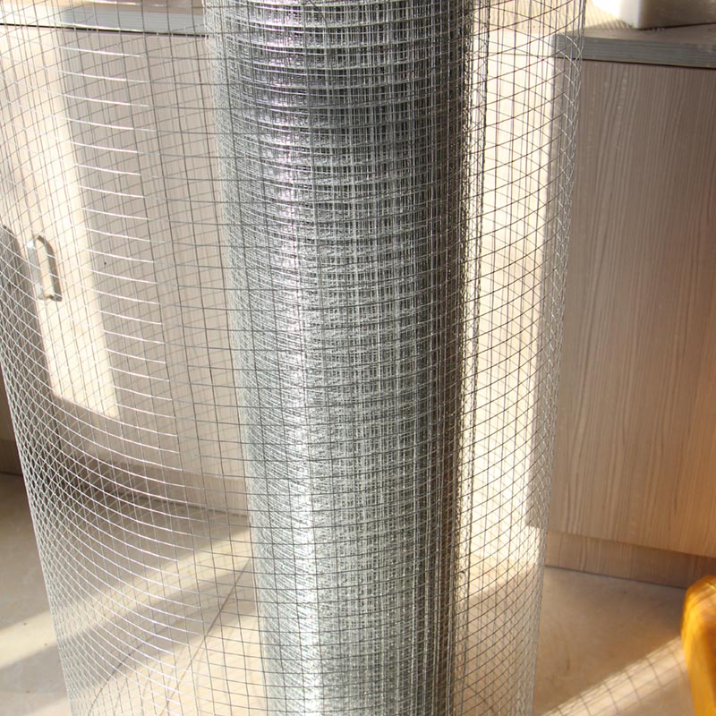 鍍鋅電焊網(wǎng)